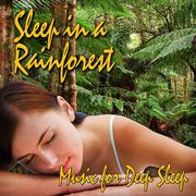 Sleep in a Rainforest (Nature Sound)
