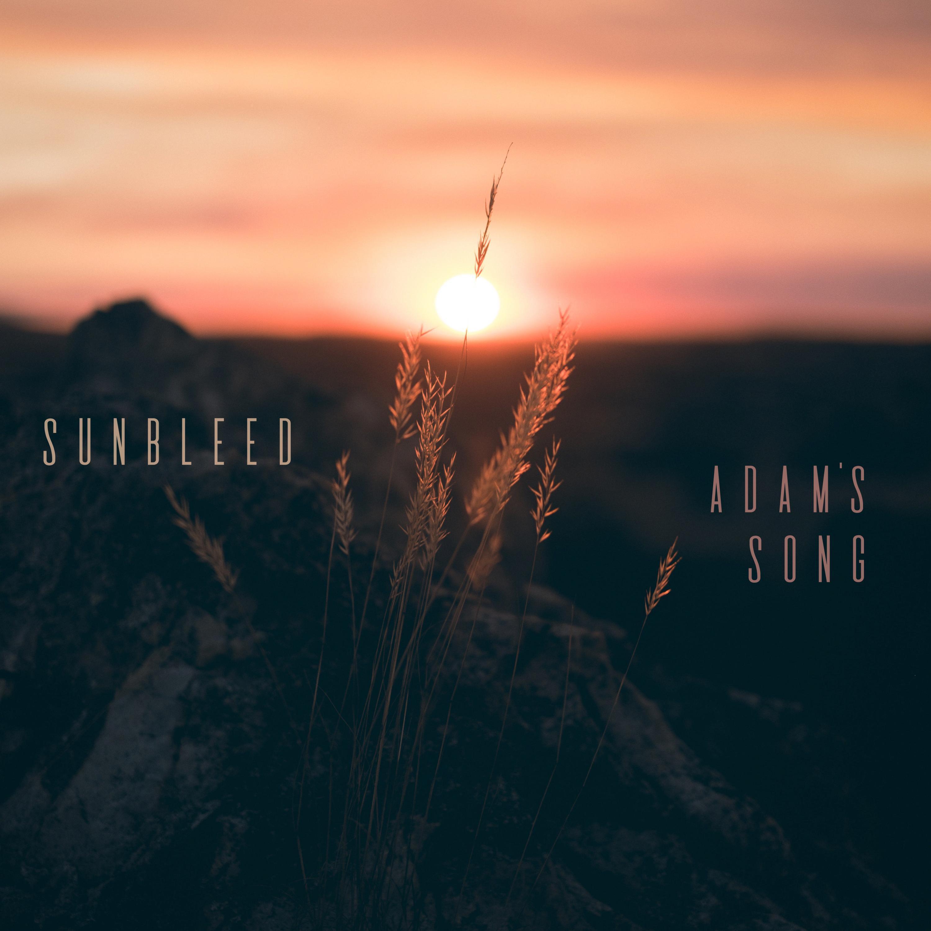 Adam's Song (feat. Hereafter)