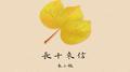 长干来信