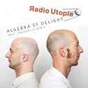Algebra of Delight专辑