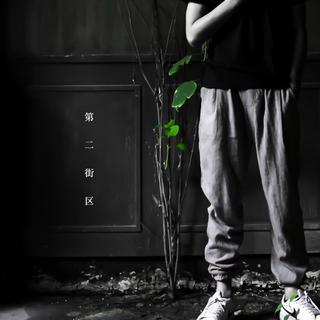 我喜欢你的（.......）