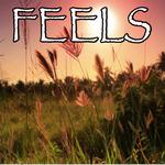 Feels - Tribute to Calvin Harris, Pharrell Williams, Katy Perry and Big Sean专辑