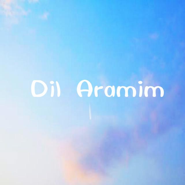 Dil Aramim (心弦）专辑