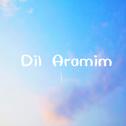 Dil Aramim (心弦）专辑