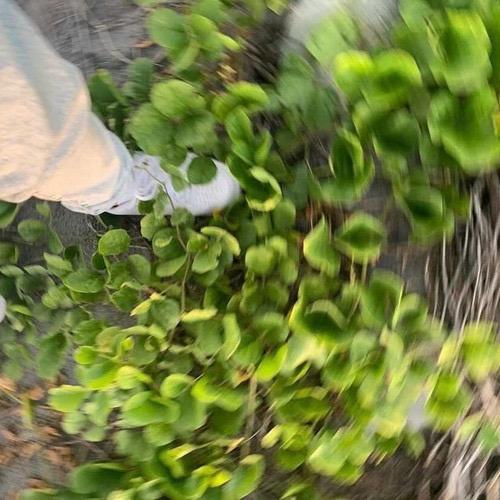 Hate me 2 Much(ノД`)