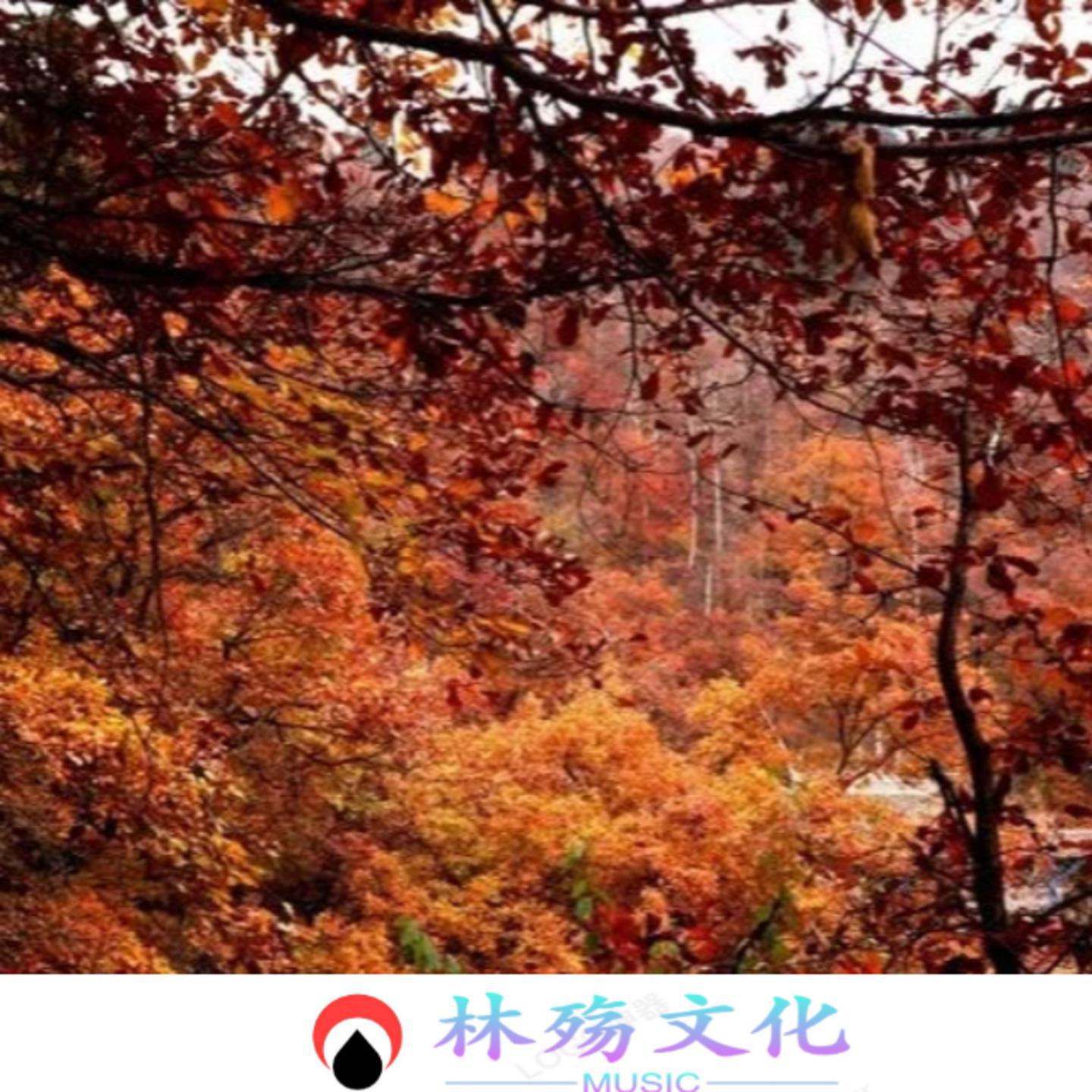 岷县战歌