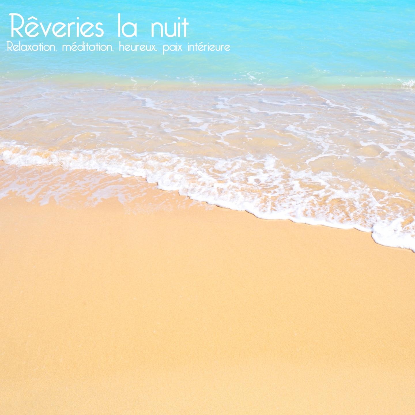 Rêveries la nuit专辑