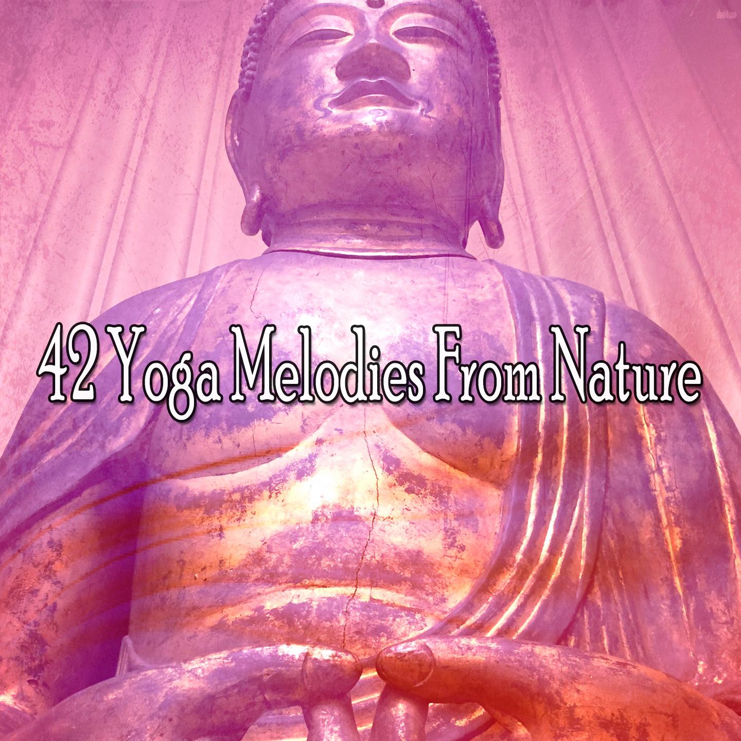 42 Yoga Melodies From Nature专辑