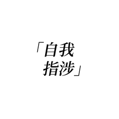 自我指涉（Demo）