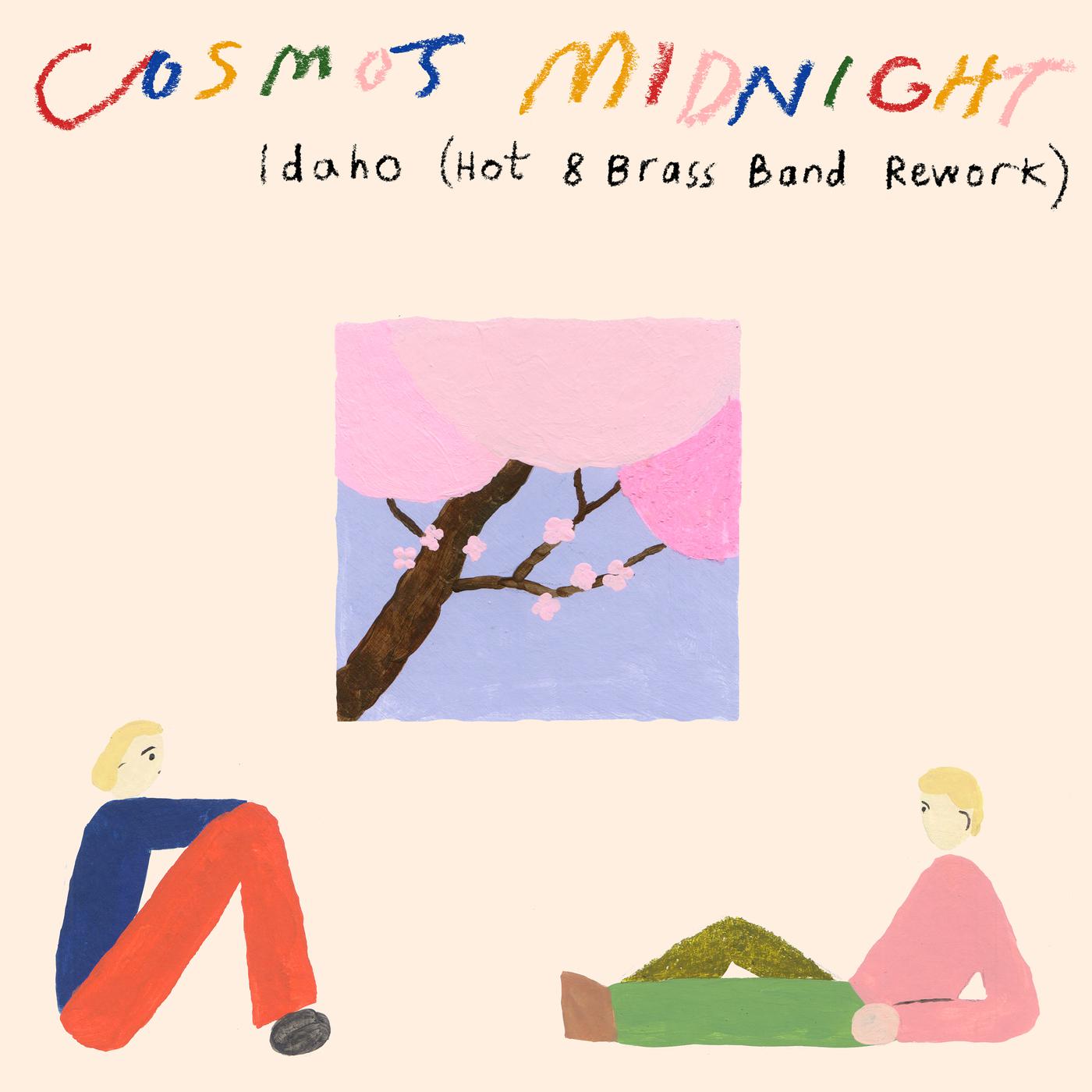 Cosmo's Midnight - Idaho (Hot 8 Brass Band Rework)