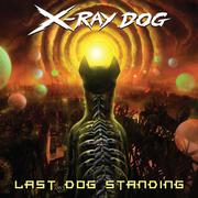 Last Dog Standing