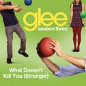 What Doesn't Kill You (Stronger) (Glee Cast Version)专辑