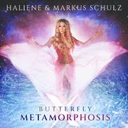 Butterfly x Metamorphosis