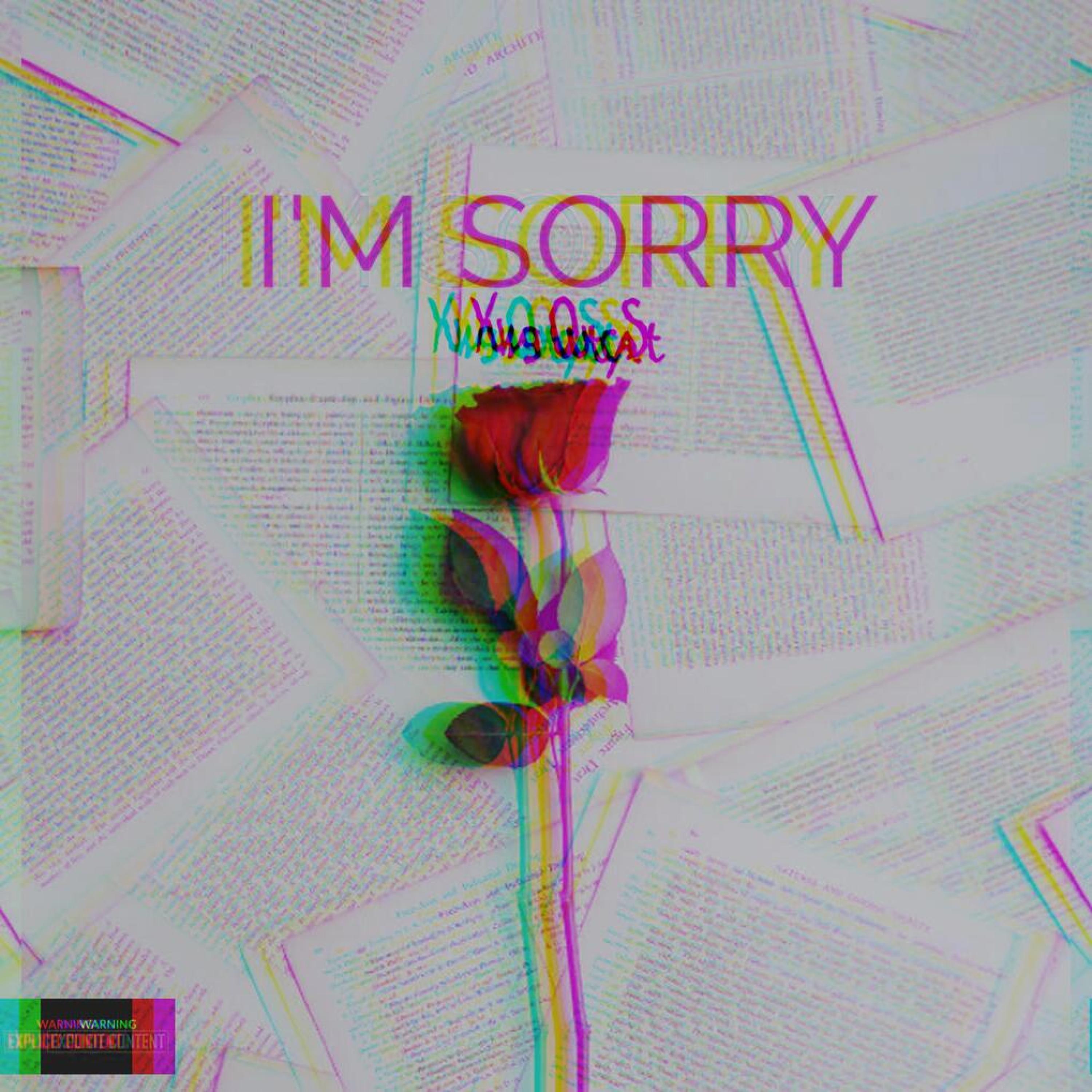 I'm Sorry - Yvng Outcast - 单曲 - 网易云音乐