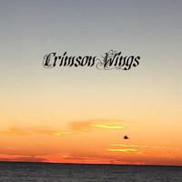 Crimson Wings（赤红羽翼）