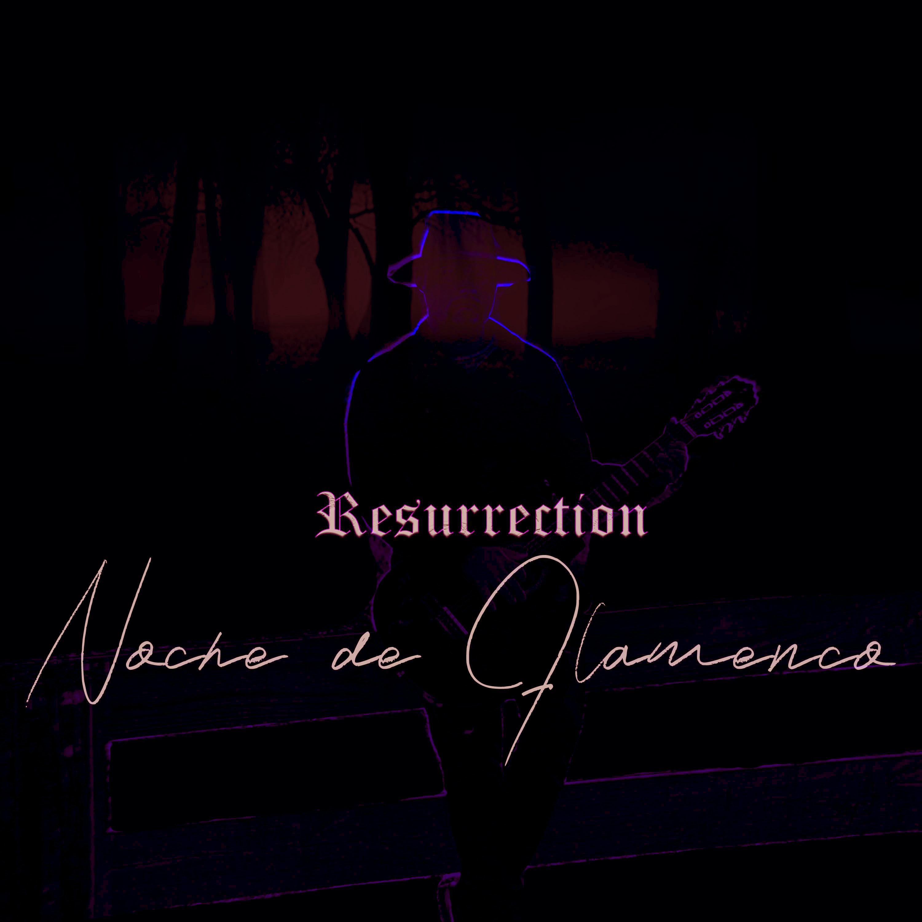 Noche de Flamenco