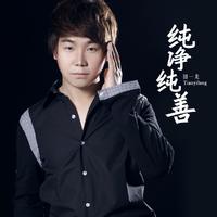 田一龙 - 纯净纯善