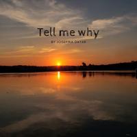 曾溢 - Tell me why(原版立体声伴奏)