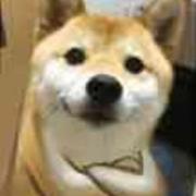求佛（耀杨版）