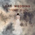 WINNER.D - Sad Wedding