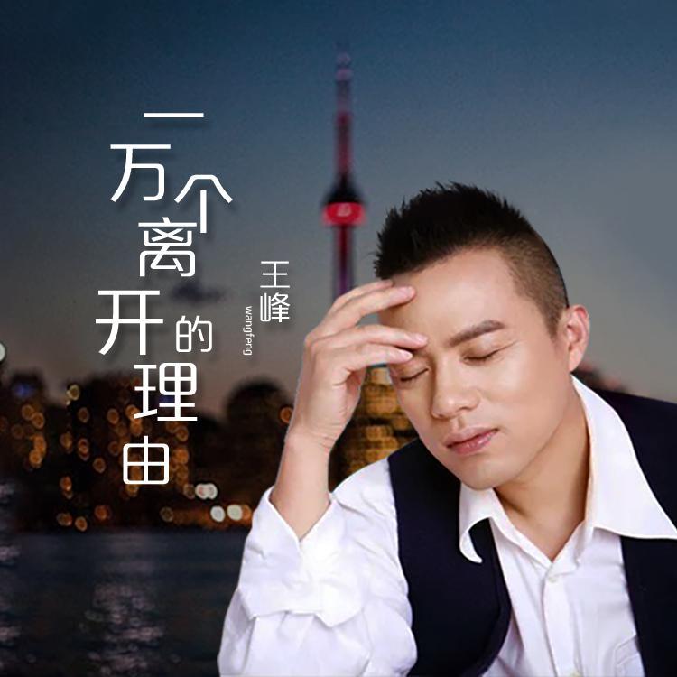 一万个离开的理由 (Dj阿卓版)