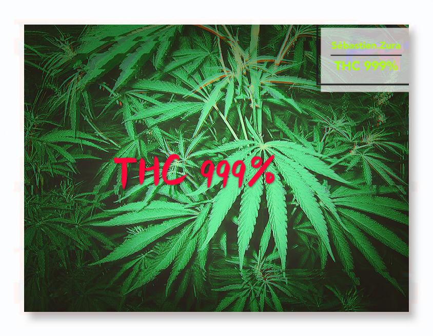 THC 999%专辑