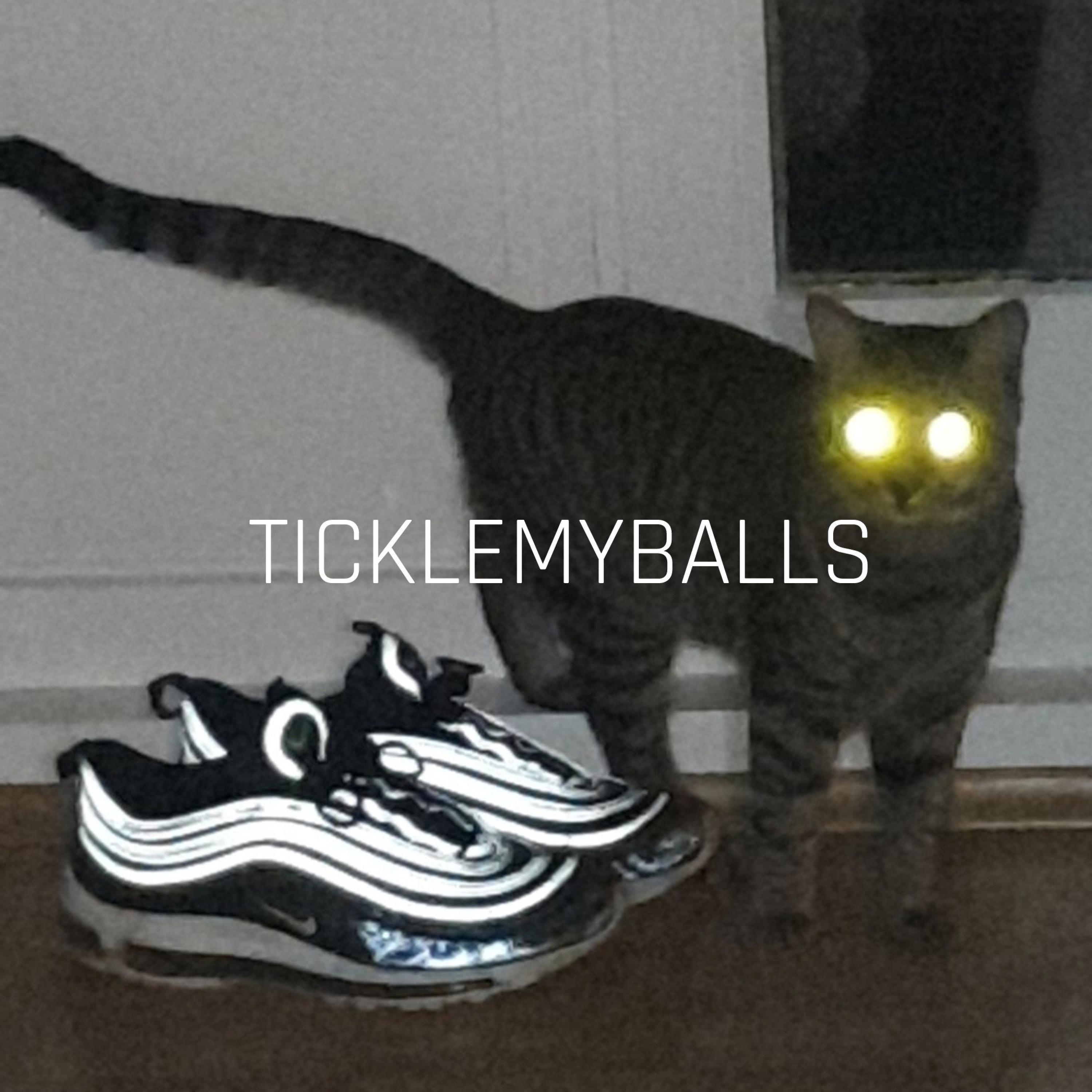 Ticklemyballs
