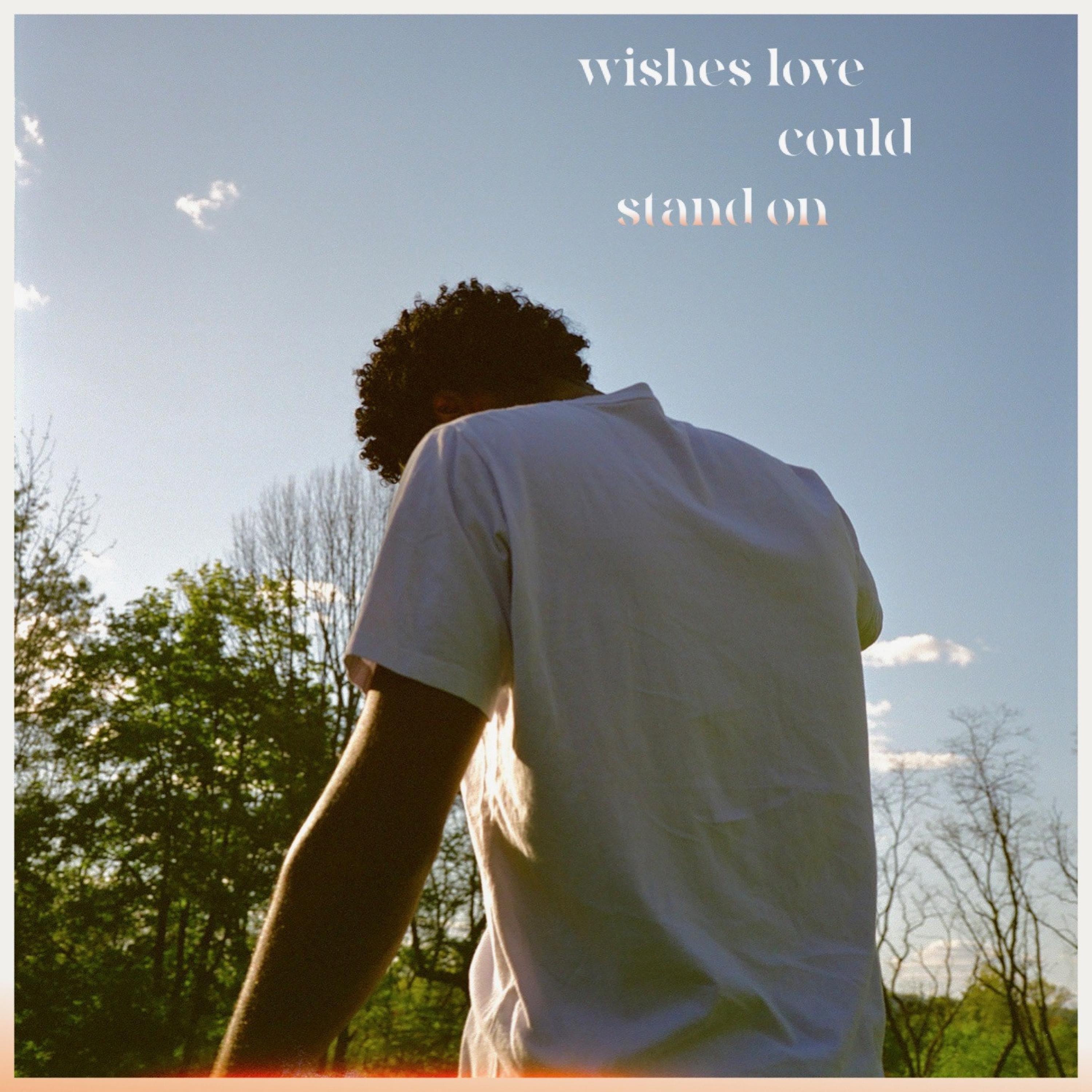 Sectiontoo - Wishes Love Could Stand On