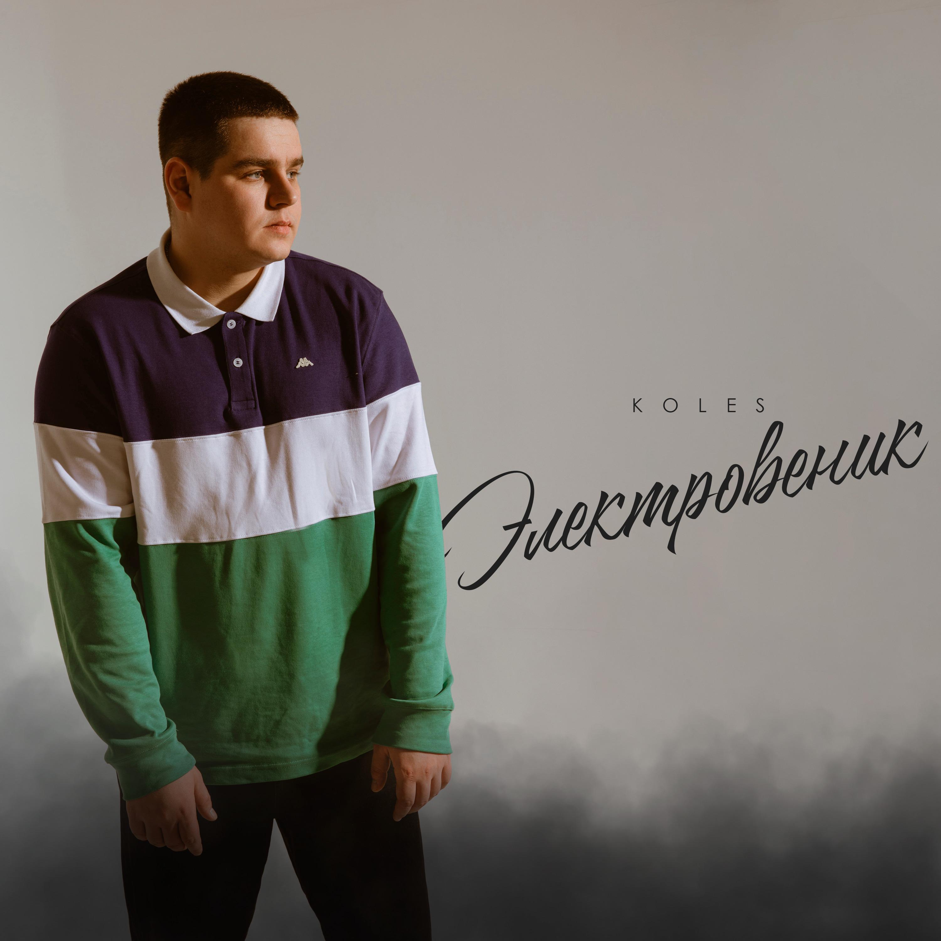 Электровеник