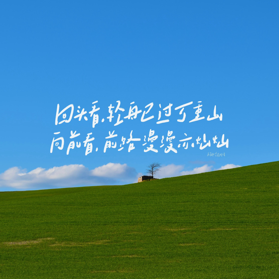 月亮代表我的心