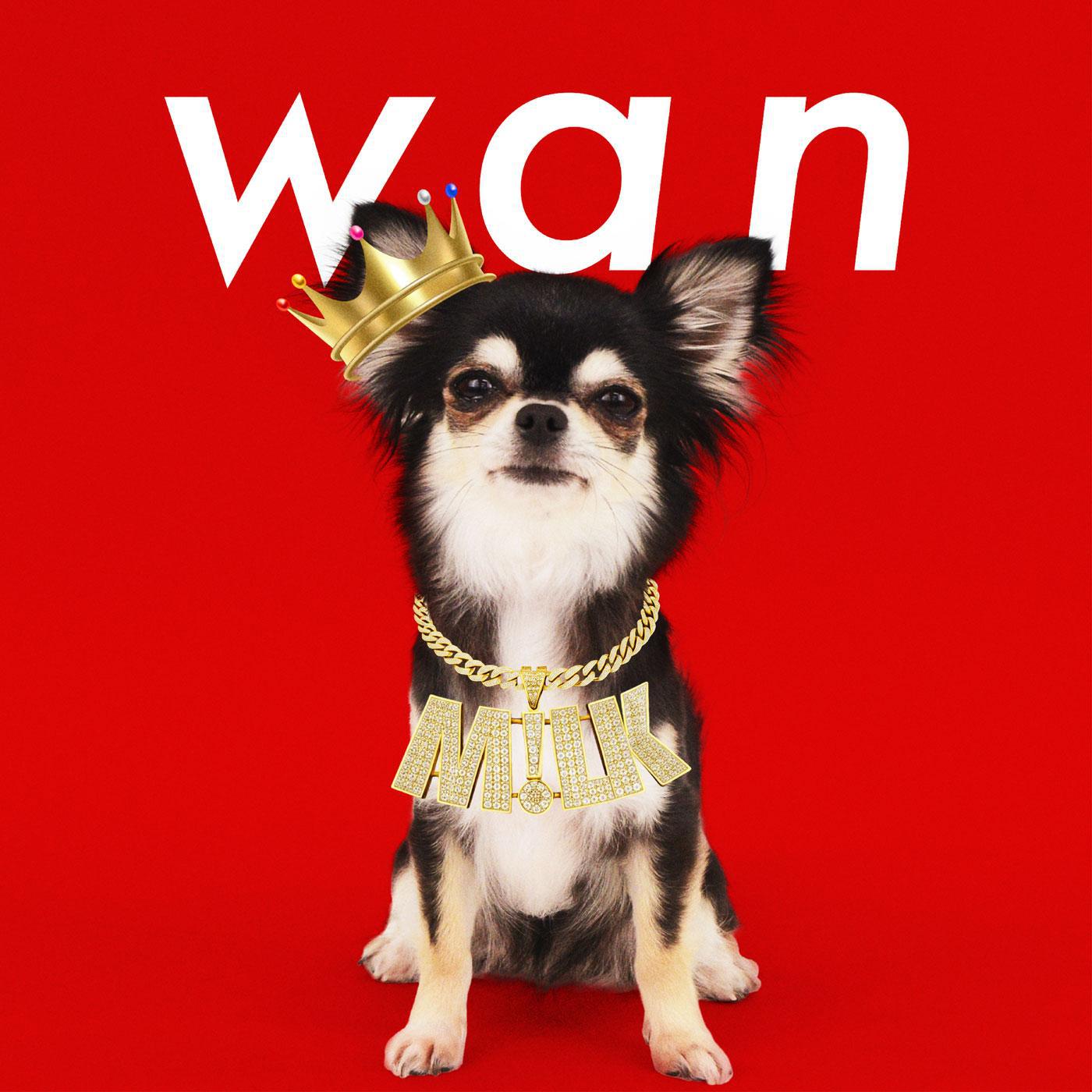 wan专辑