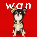 wan专辑