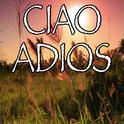 Ciao Adios - Tribute to Anne-Marie专辑