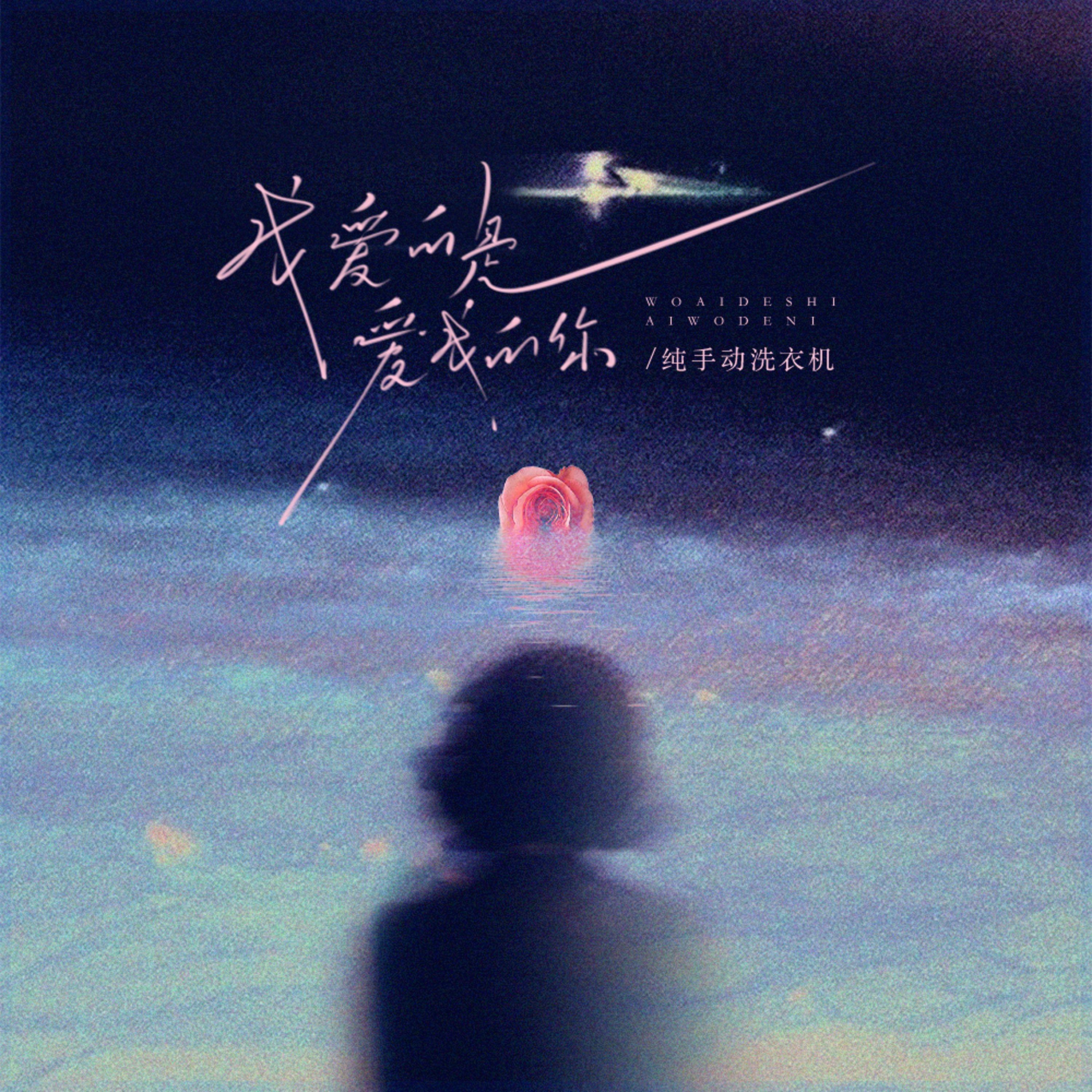 我爱的是爱我的你