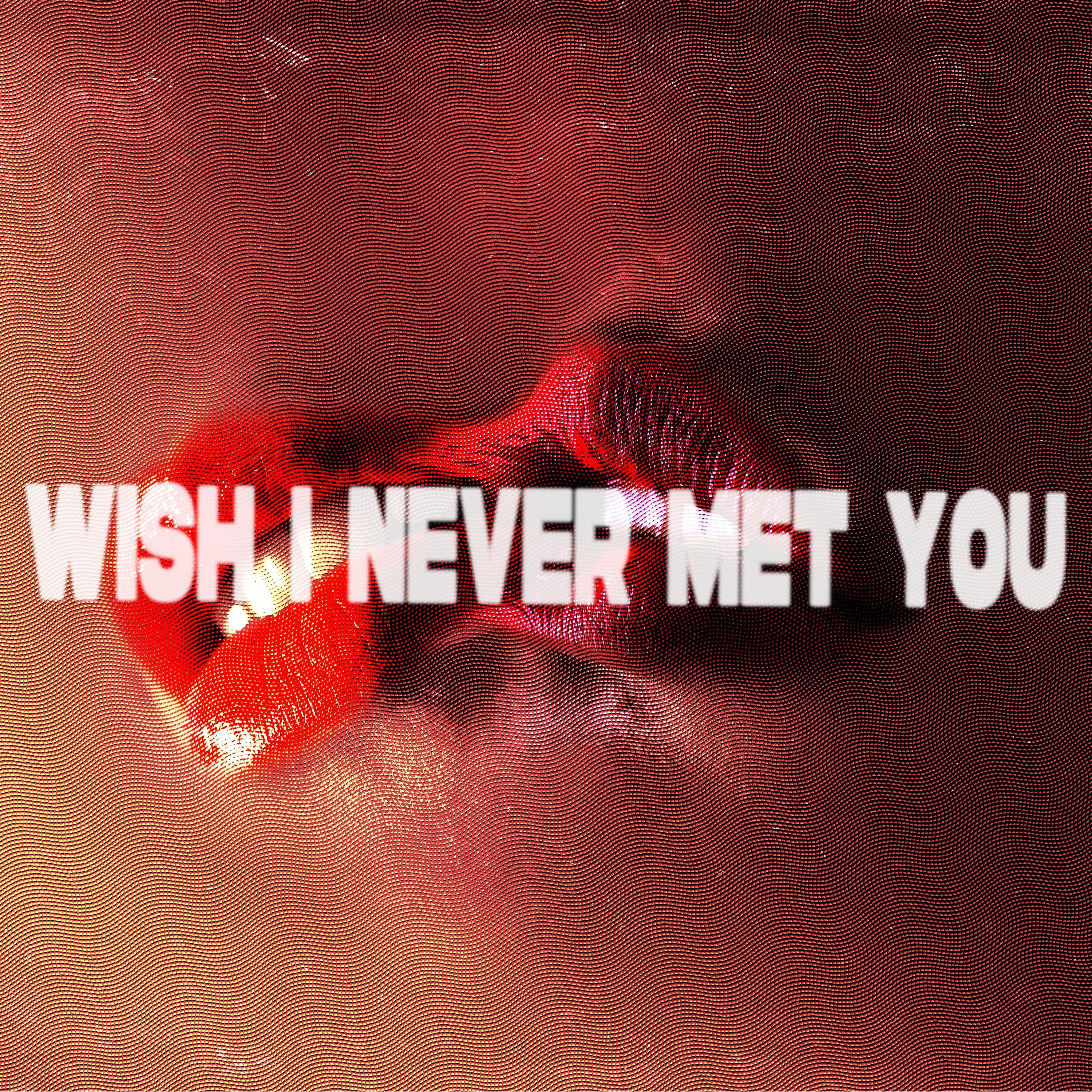 Wish I Never Met You专辑
