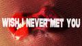 Wish I Never Met You