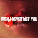 Wish I Never Met You专辑