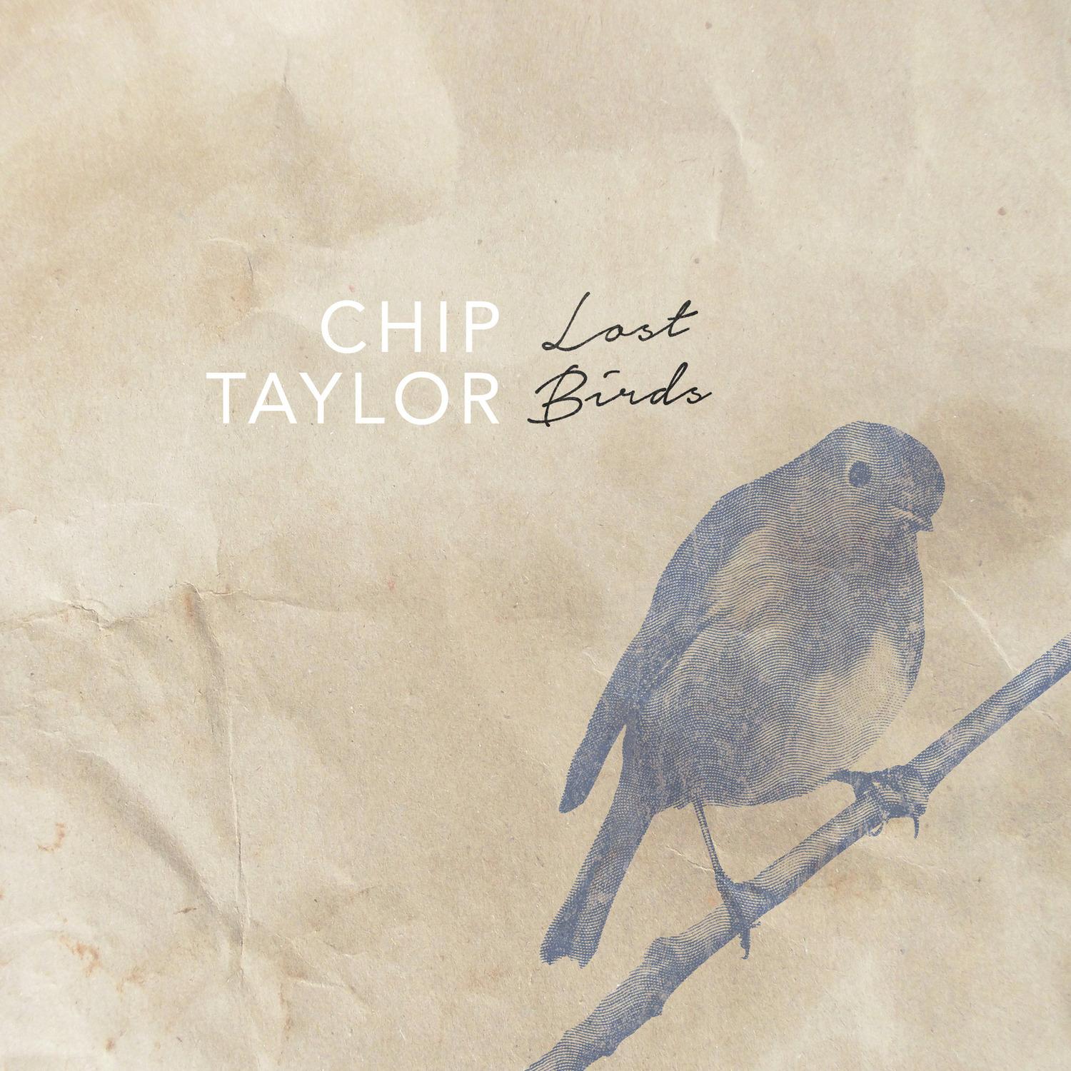 Lost Birds