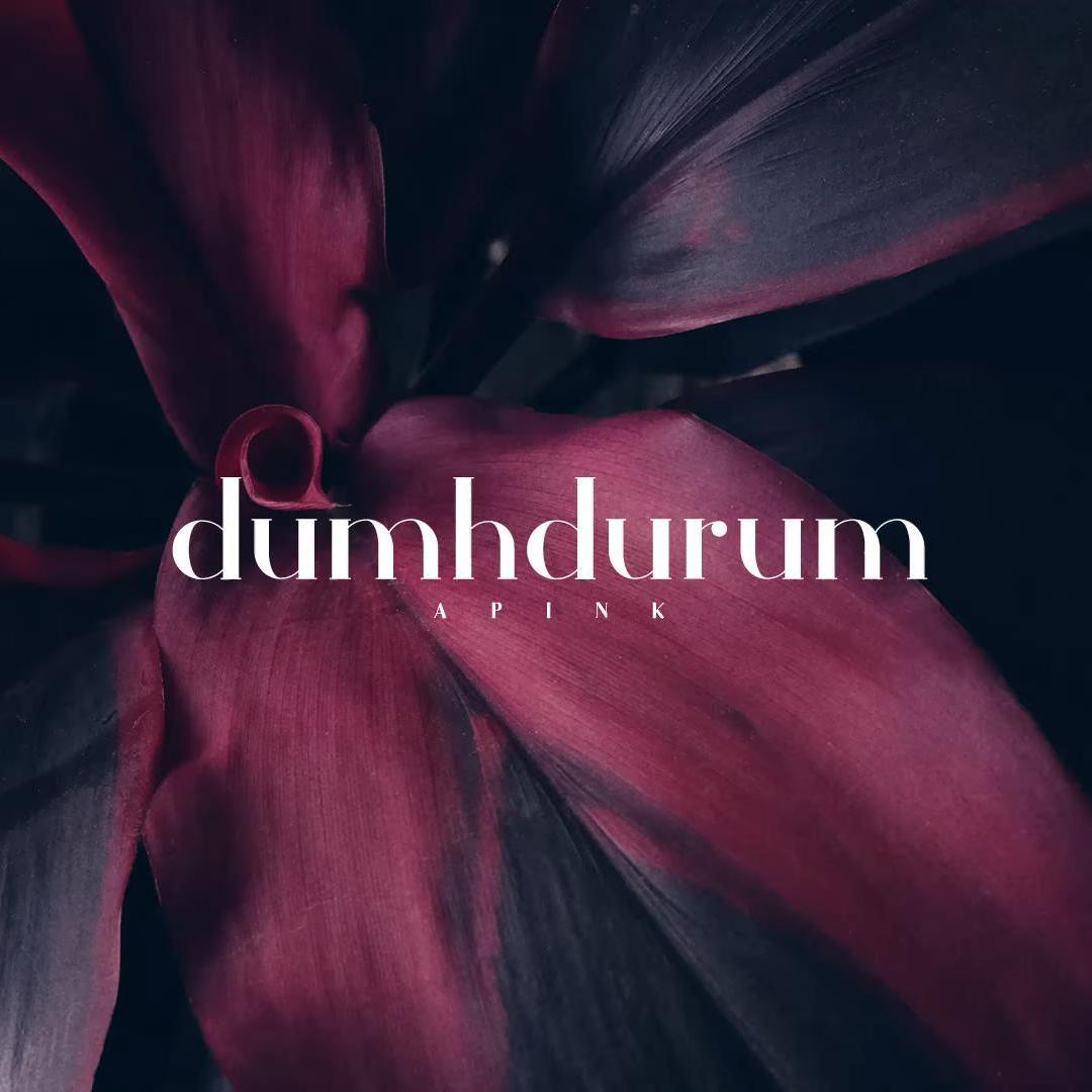 Apink-Dumhdurum（DooPiano remix）