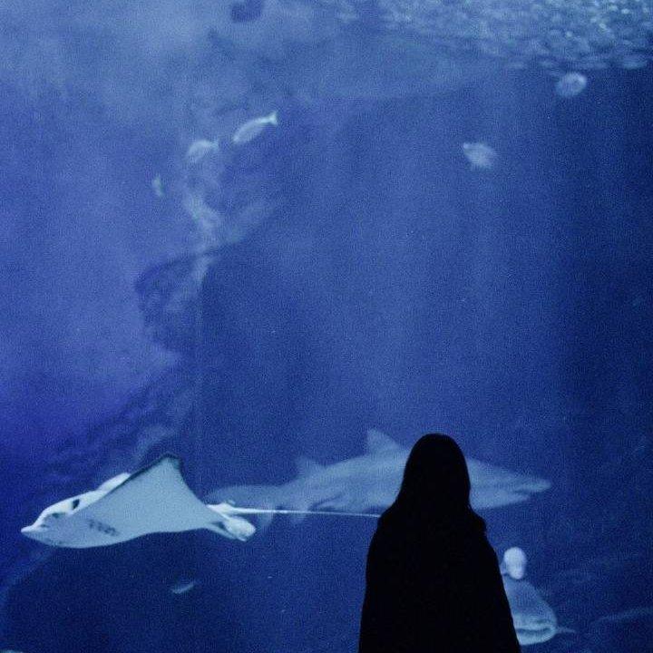 00：27丨潮起潮落和克莱因蓝