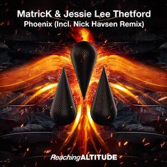 Phoenix (Nick Havsen Remix)