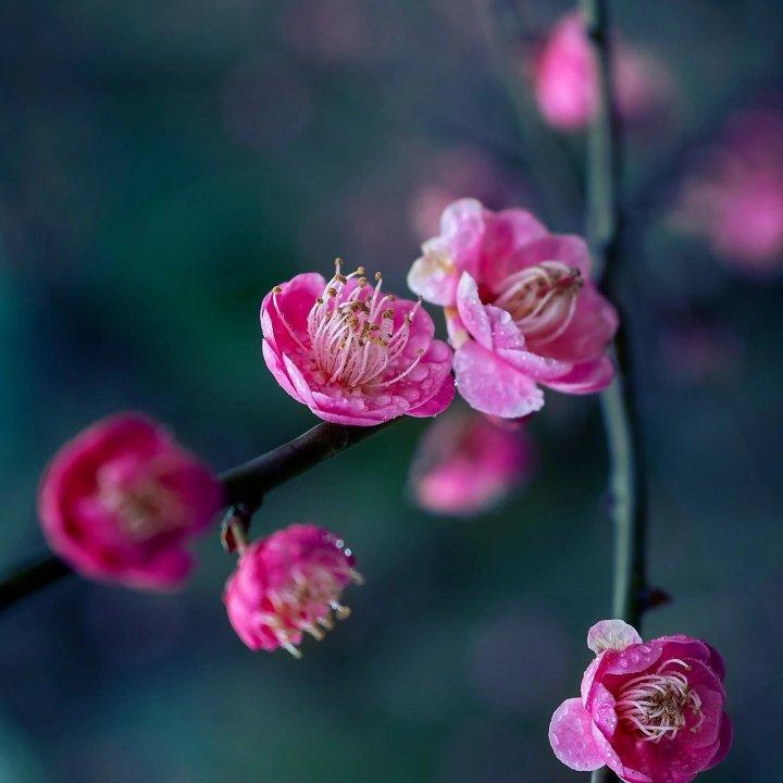 毛波 酒吧慢摇 欢快 舞曲 快餐小串 yb0514remix (串烧)(翻自 yb0514)