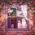 生活「慢节奏」，慵懒惬意的周末时光