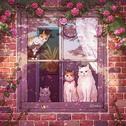 生活「慢节奏」，慵懒惬意的周末时光
