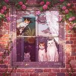 生活「慢节奏」，慵懒惬意的周末时光