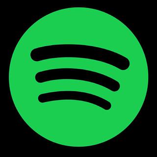2017 Spotify 年度热门100单曲