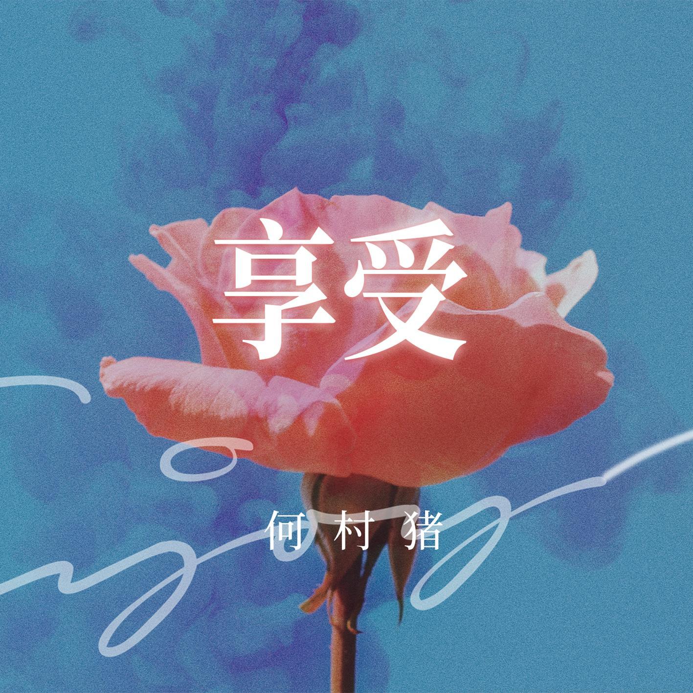 享受 - 何村猪封面