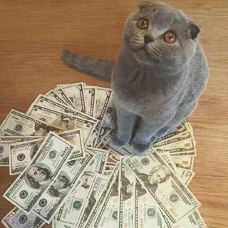 三.十二 歌单