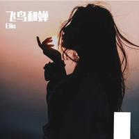 飞鸟和蝉