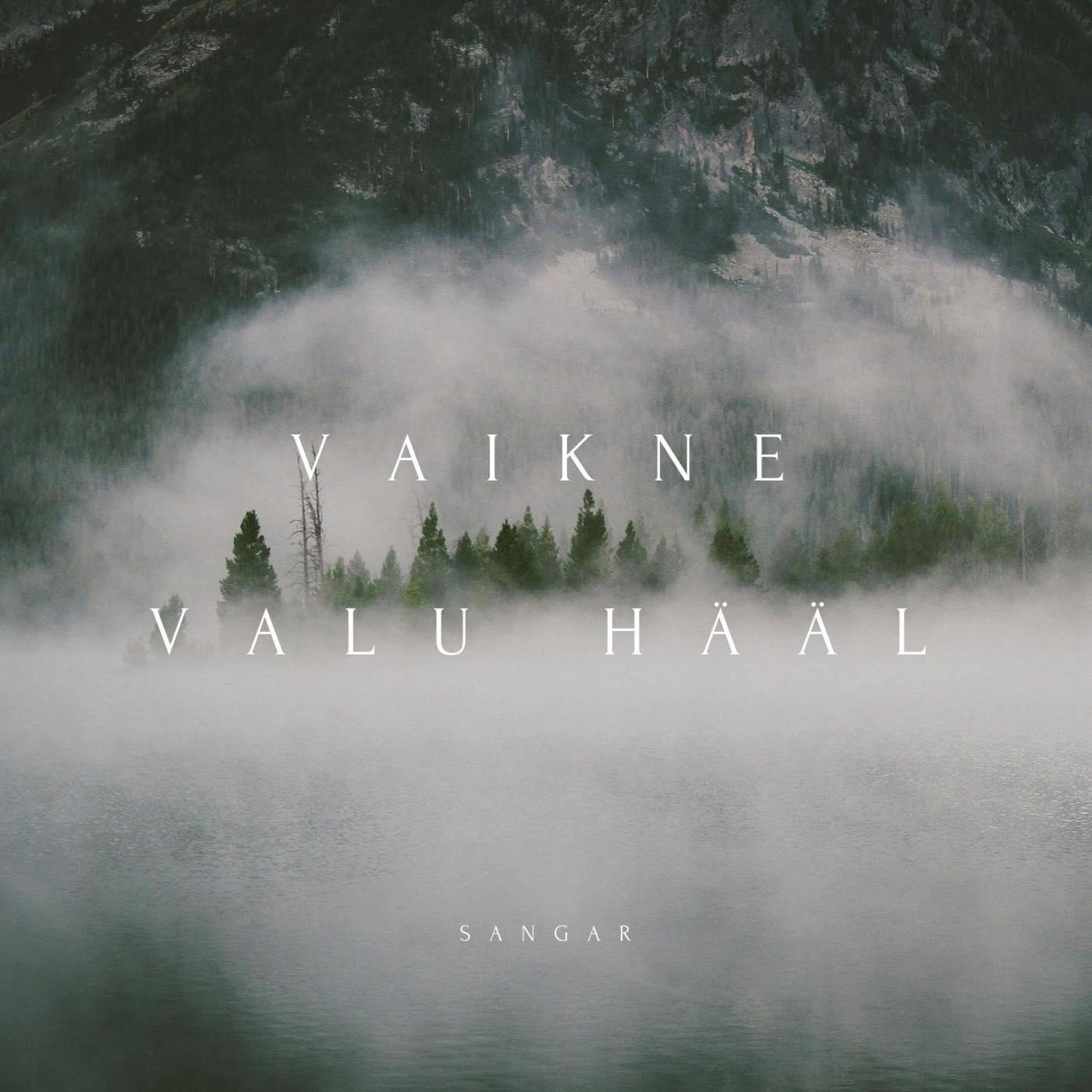Vaikne Valu Hääl